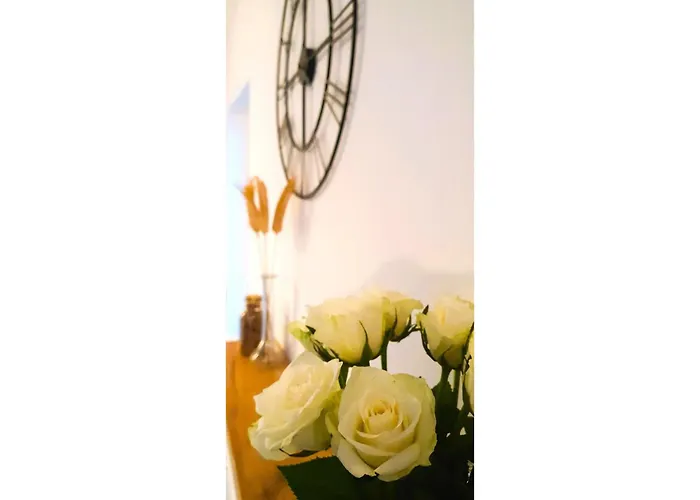 Krakowska Sunny * Breslau